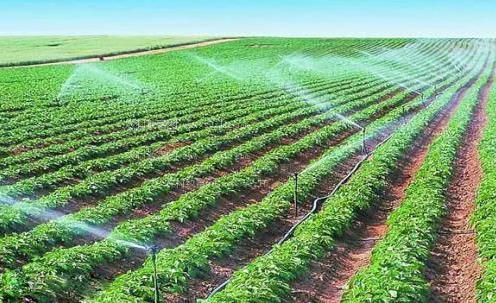 黑色大屌视屏农田高 效节水灌溉